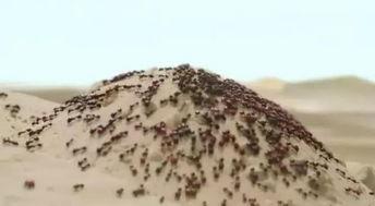 国产你懂的网站,内容丰富，暗藏玄机